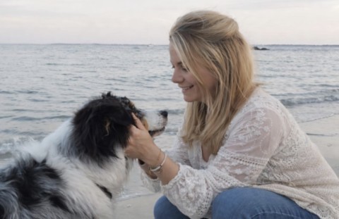 câlins pour chiens